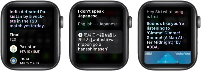 C Mo Usar Siri En Apple Watch Gu A Completa Pmtech