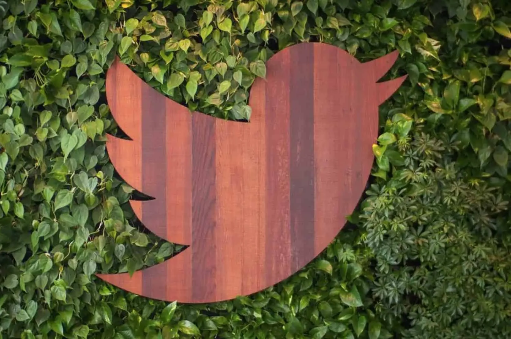 Твиттер запрещает размещать фотографии третьих лиц без их согласия