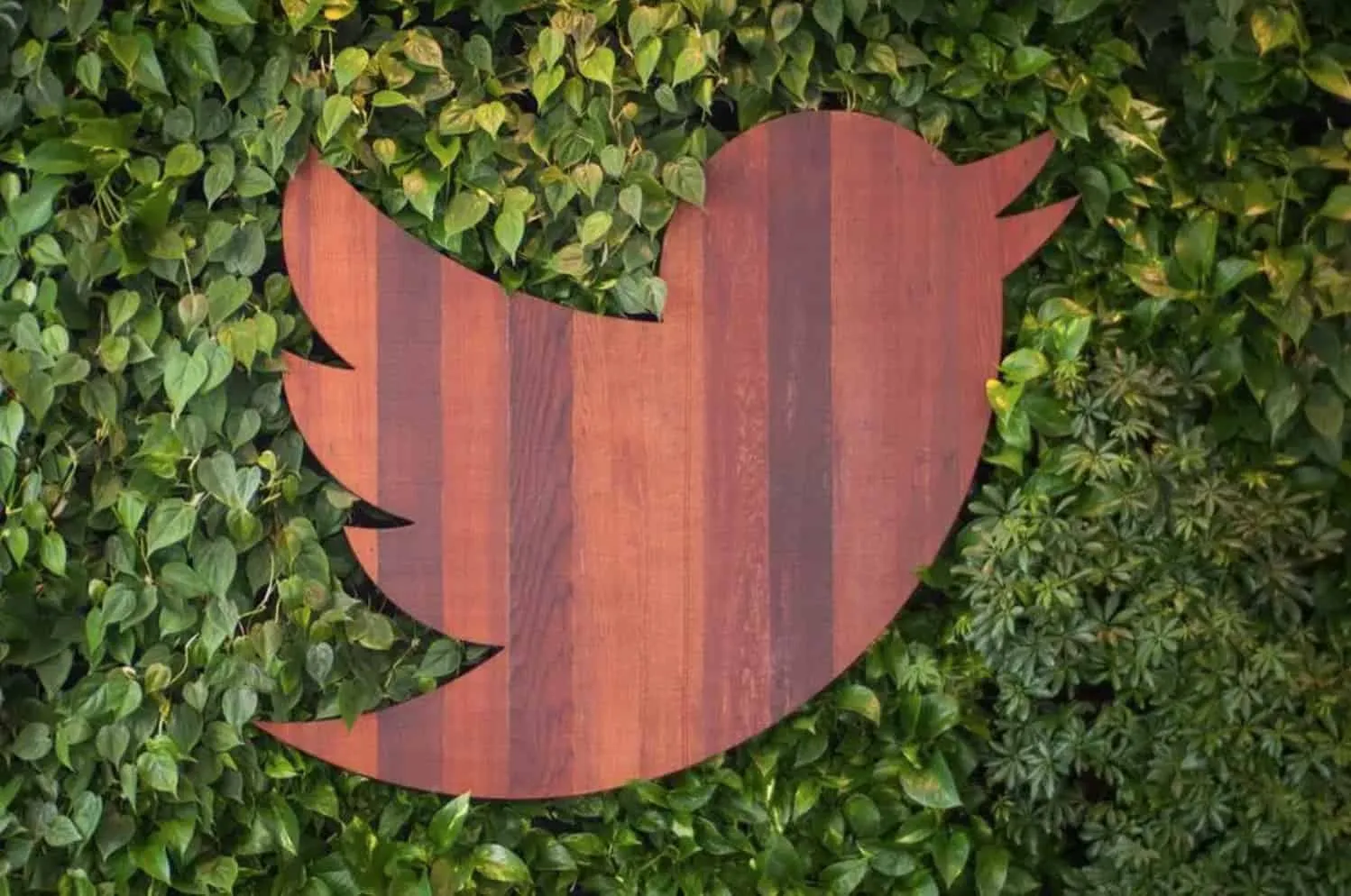 Twitter хочет разрешить пользователям удалять себя из определенных разговоров