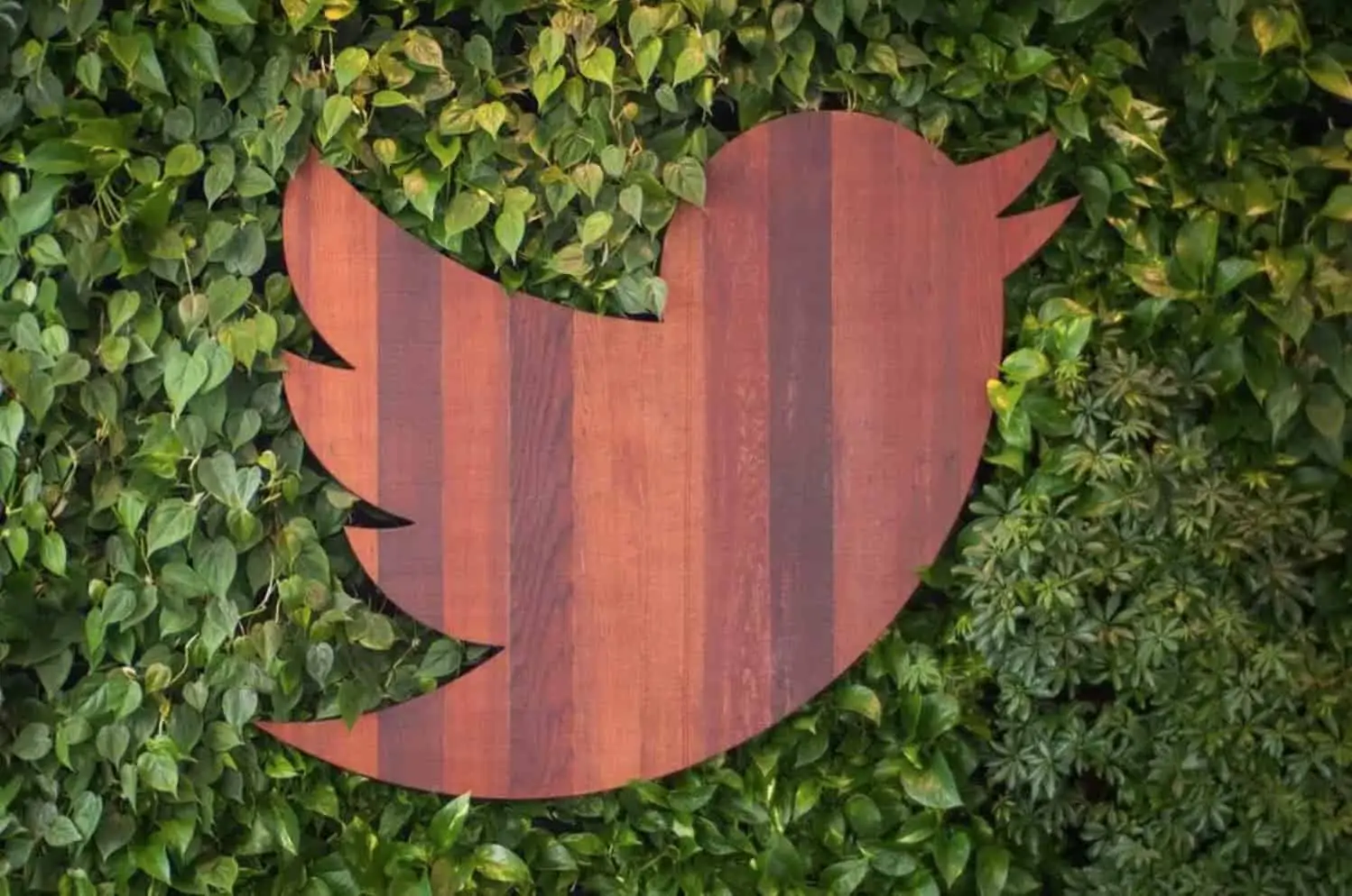 Twitter разрешает делать пожертвования в Ethereum