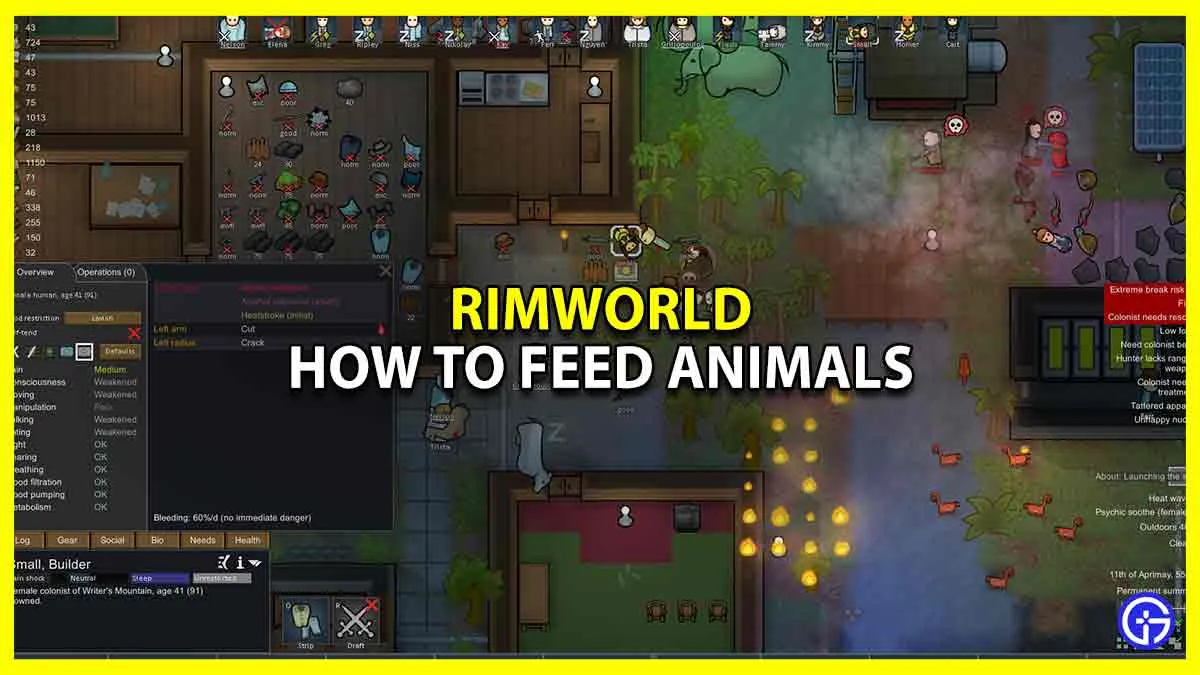 rimworld how to feed animals in pen