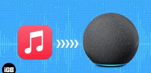 Как играть в Apple Music с динамиками Alexa и Google Nest