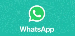 WhatsApp: все, что вам нужно знать об архивировании чатов