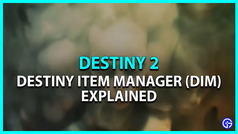 Менеджер предметов Destiny 2 (DIM): как использовать? (объяснение)