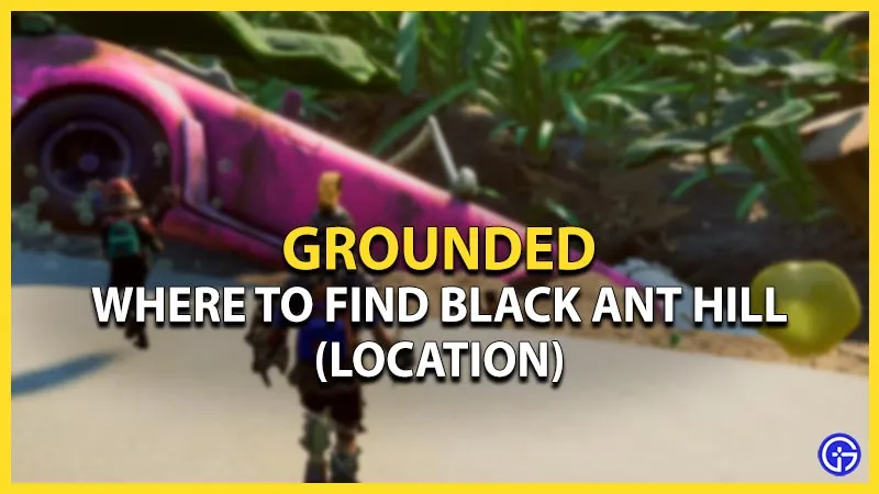 Заземленная локация Черного муравейника