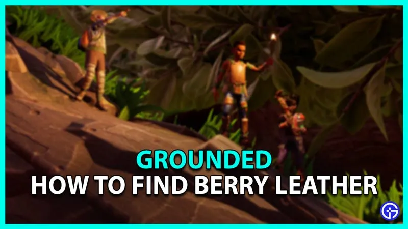 Как найти ягодную кожу в Grounded