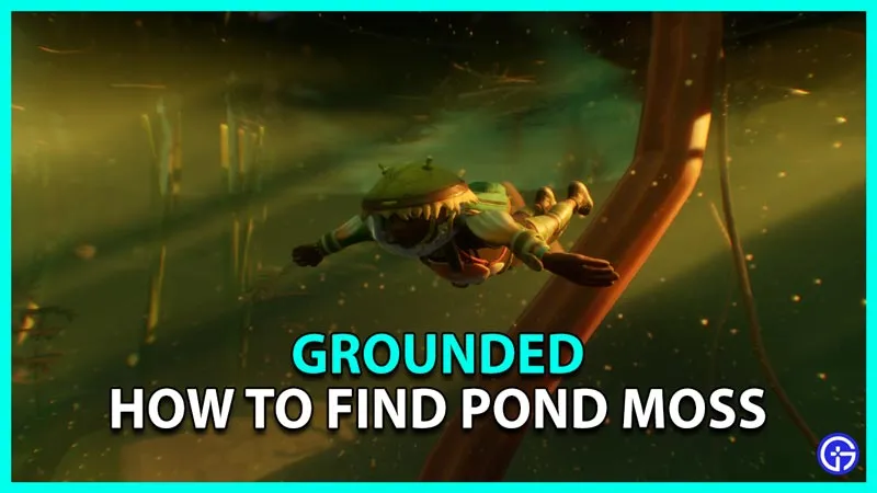 Как найти мох в пруду в Grounded