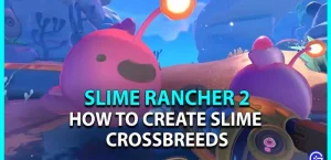 Slime Rancher 2: Как создать гибрид слизи
