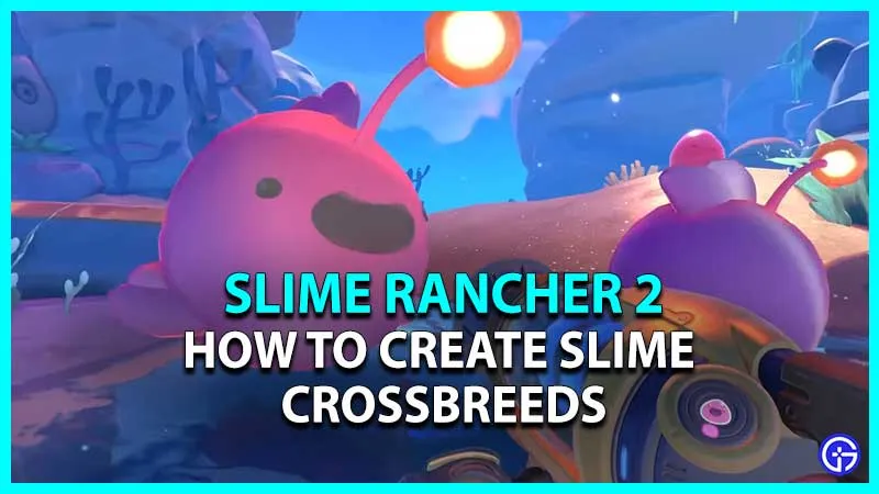 Slime Rancher 2: Как создать гибрид слизи