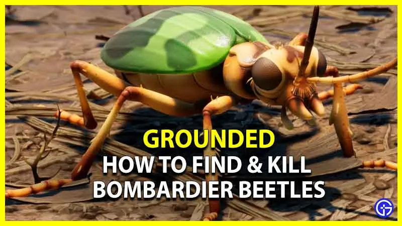 Grounded: как найти и убить жука-бомбардира
