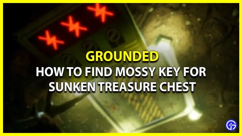 Grounded: как найти замшелый ключ, чтобы открыть затонувший сундук с сокровищами