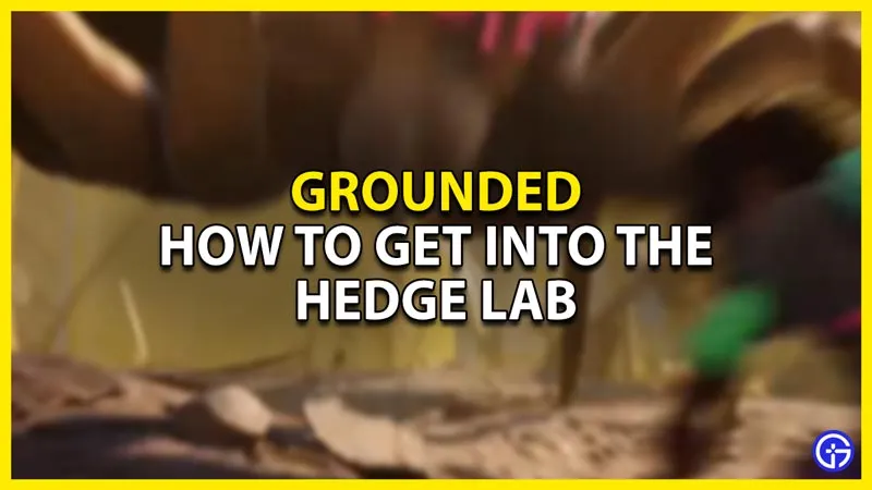 Руководство по Grounded Hedge Lab: как в него попасть