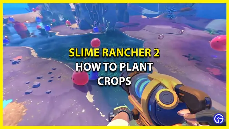 Slime Rancher 2 Plant Crops: как получить сад (руководство по посадке)
