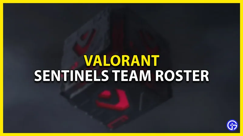 Valorant: команда и состав Sentinels в 2022 году