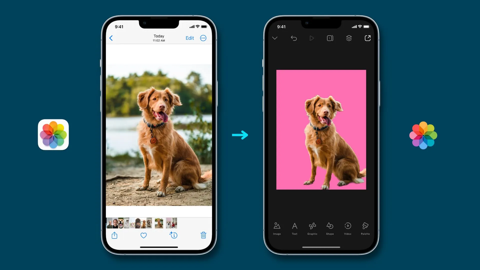 Как удалить фон и извлечь основной объект фотографии на iPhone в iOS 16