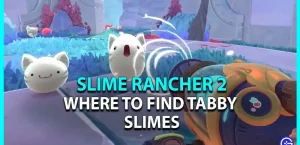 Slime Rancher 2: где найти полосатых слаймов