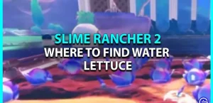 Slime Rancher 2: Где найти водяной салат