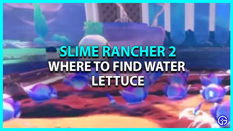 Slime Rancher 2: Где найти водяной салат