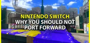 Nintendo Switch Port Forward: почему этого делать не следует