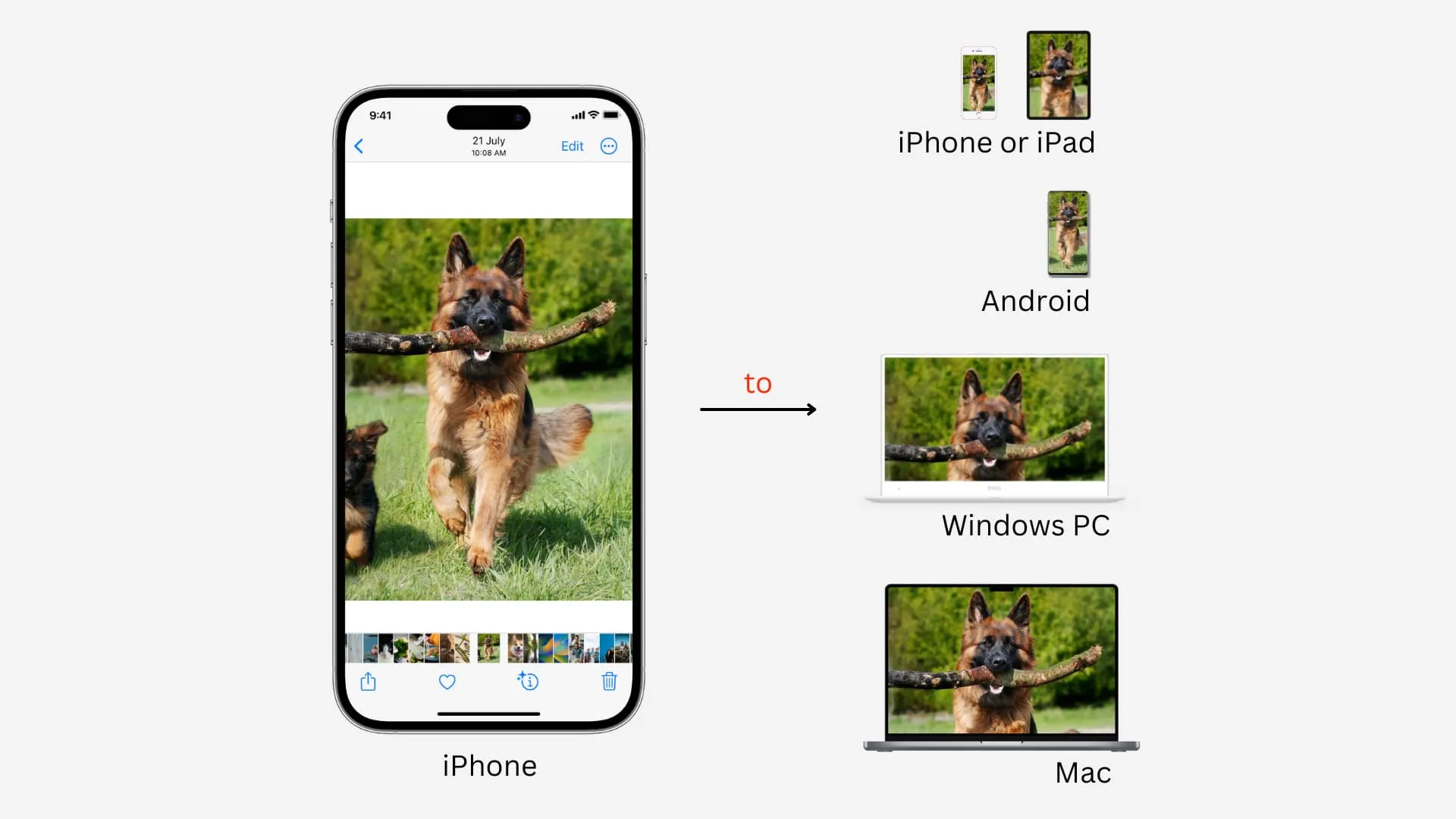 Как перенести фотографии и видео с iPhone на Android, ПК с Windows, iOS и Mac