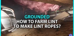 Grounded: как вырастить ворс, чтобы сделать веревку из ворса