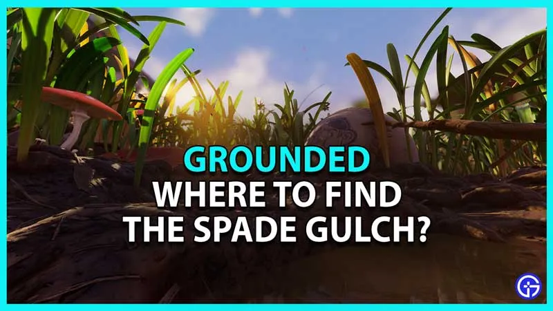 Grounded Спейд-Галч: где его найти