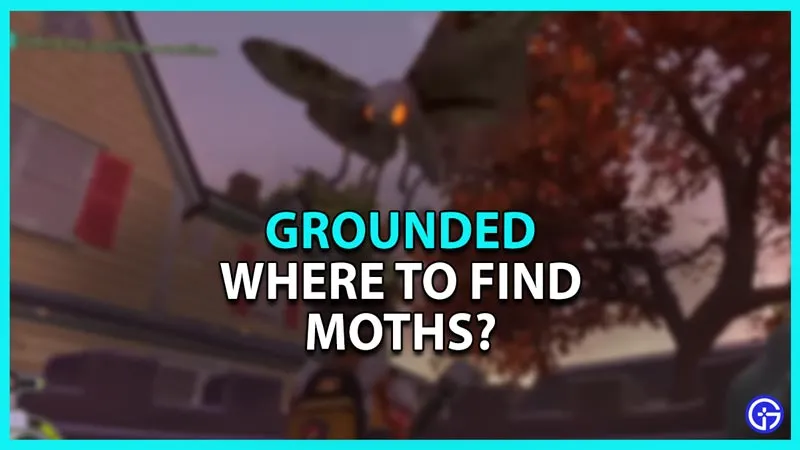 Grounded: где найти мотыльков