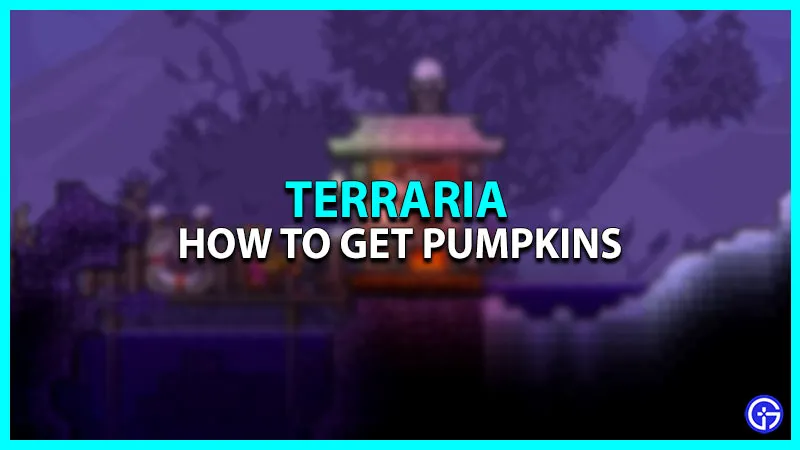 Terraria: как получить тыкву