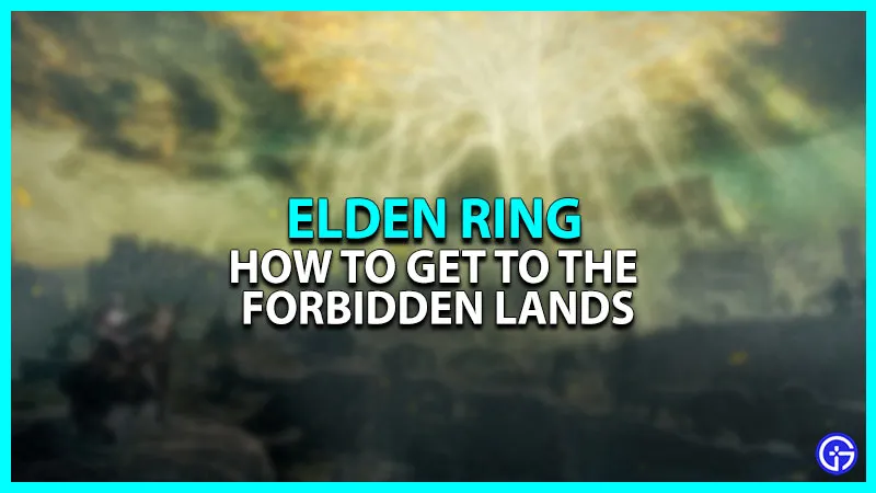 Запретные земли Elden Ring: как добраться