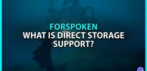 Отказ от поддержки DirectStorage: что это значит