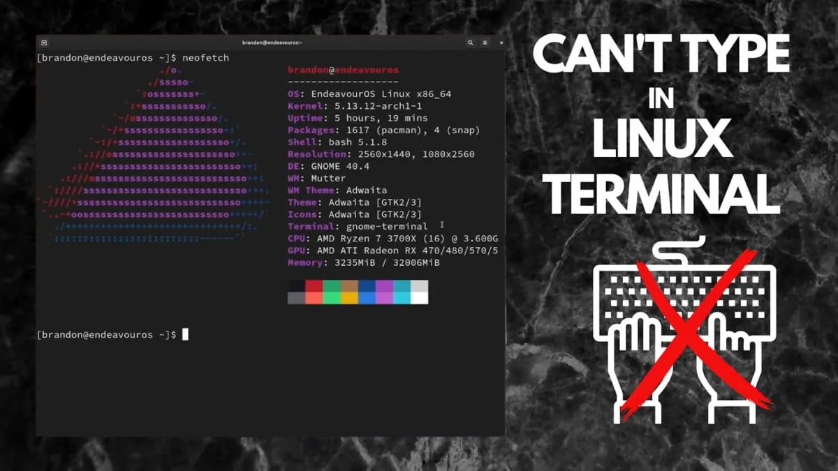 11 исправлений: не удается ввести текст в терминале в Linux