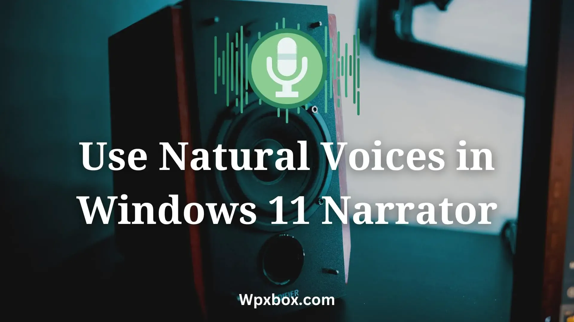 Как использовать естественные голоса в дикторе Windows?