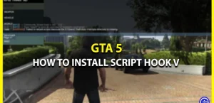 Как установить Script Hook V DotNET и использовать его для GTA V