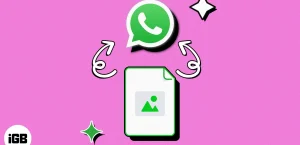Как отправить фотографии как документы в WhatsApp на iPhone