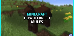 Как разводить мулов в Minecraft