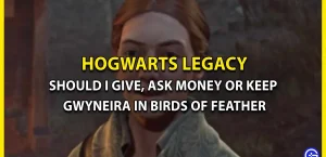 Квест Birds of Feather: дать, попросить денег или оставить Гвинеру в Hogwarts Legacy?