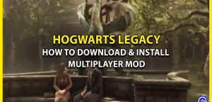 Мультиплеерный мод в Hogwarts Legacy: как его скачать и установить (HogWarp)