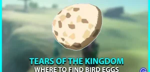 Location of the Zelda TOTK Bird Eggs (Farming Guide)