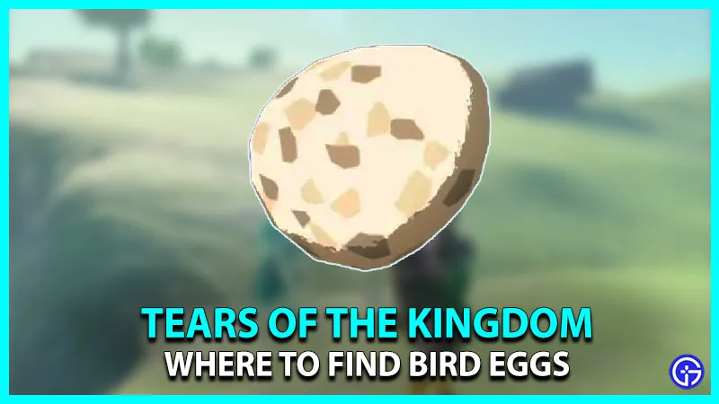Location of the Zelda TOTK Bird Eggs (Farming Guide)