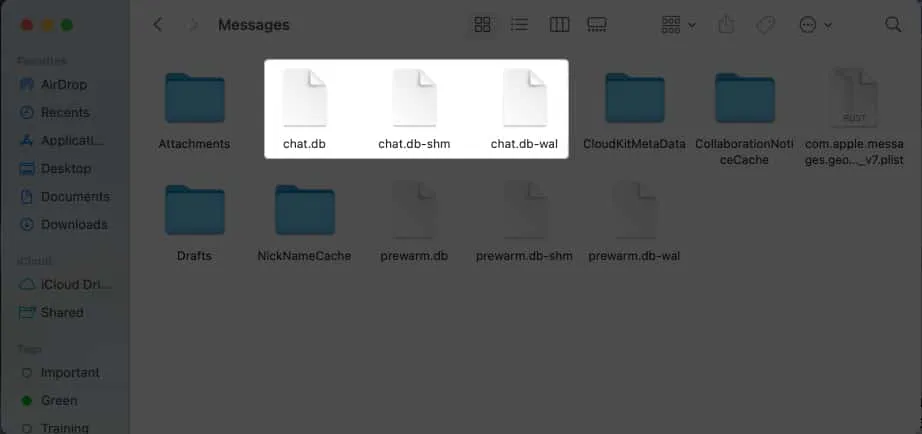 Elimine archivos en las siguientes carpetas de Mensajes: chat.db-wal, chat.db y chat.db-shm