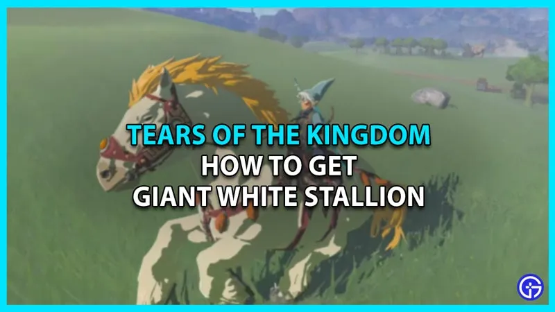 The Best Way To Obtain A Huge White Stallion In Tears Of The Kingdom
