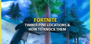 Places for Timber Pine in Fortnite (Chapter 4 Season 2)