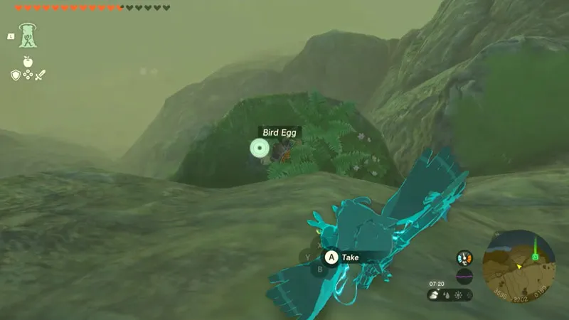 Bird Eggs Location In Zelda TOTK 